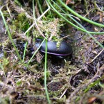 00117_resized