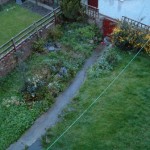 BackGarden
