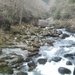Betws Walk Jan 2006 026
