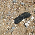 Holiday_July_06_009
