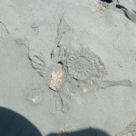 Holiday_July_06_020