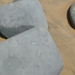 Holiday_July_06_031