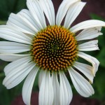 Holiday_July_06_108
