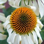 Holiday_July_06_109