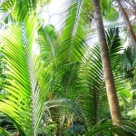 Holiday_July_06_138