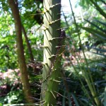 Holiday_July_06_143