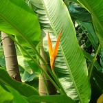 Holiday_July_06_159