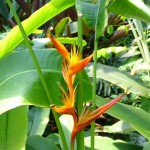 Holiday_July_06_160