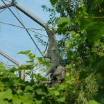 Holiday_July_06_188
