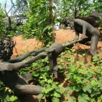 Holiday_July_06_197