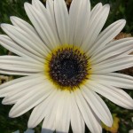 Holiday_July_06_200