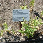 Holiday_July_06_216