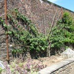 Holiday_July_06_250