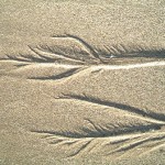Sand
