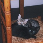 awwwh