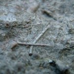 bits2