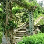 bodnant_gardens_May_06_129
