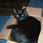 box 4