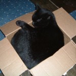 box 5