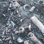 fossils
